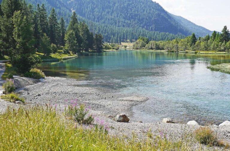 Serene river landscape in St. Moritz surrounded by trees and mountains