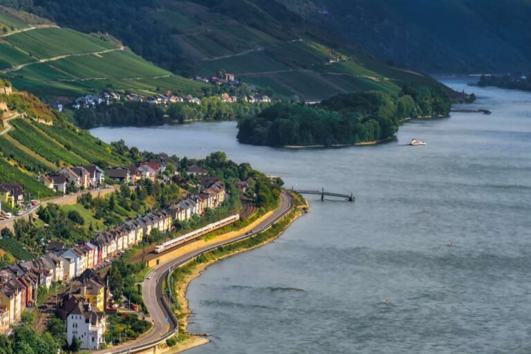 Train passing along the Rhine River surrounded by scenic vineyards