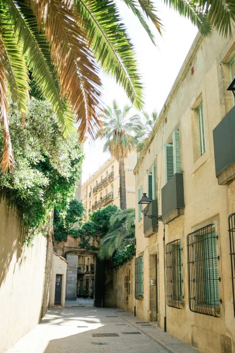 Narrow, sunny street in Barcelona lined with palm trees and old buildings