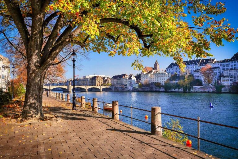 Leafy riverside promenade with scenic city views and autumn colors