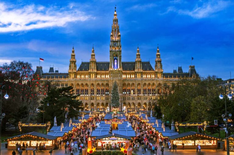 Historical christmas market of Vienna in front of the impressive castle