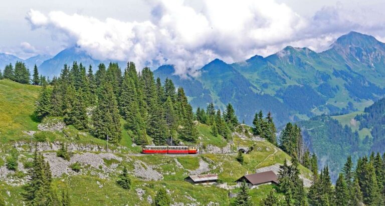 Train on a mountain track with forested slopes and distant peaks