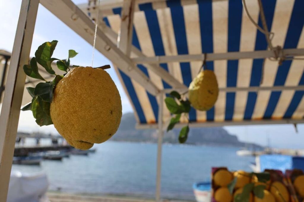 Palermo's citrus fruit reflecting the city's Mediterranean charm and lush greenery.