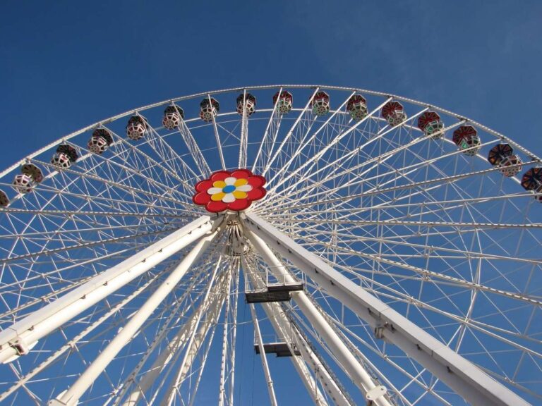 a giant ferris wheel with a flower on it in Vienna