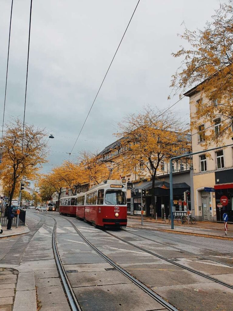 Red tram on a street in Vienna with autumn trees lining the tracks