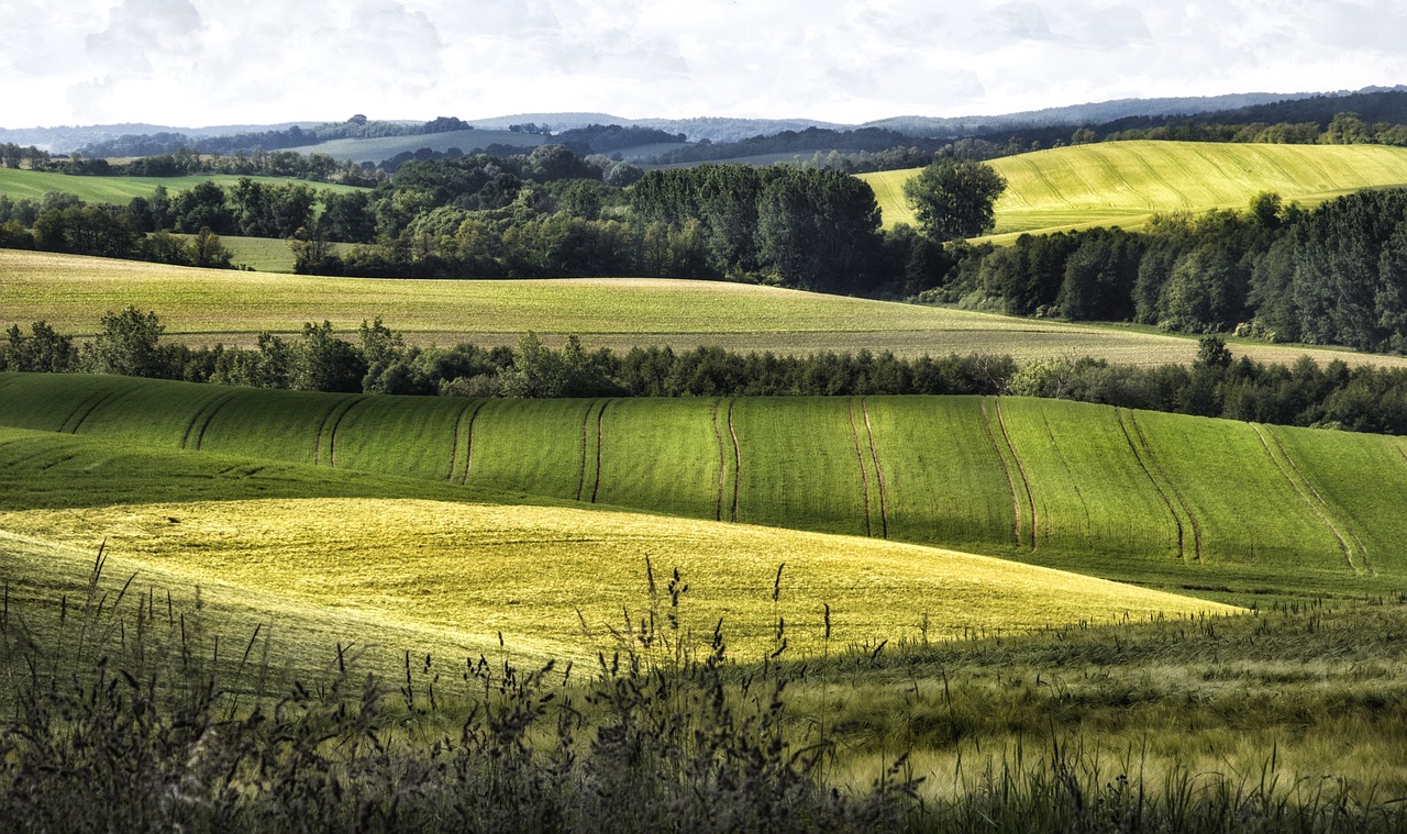 Beautiful landscape in the region of Bakony in Hungary