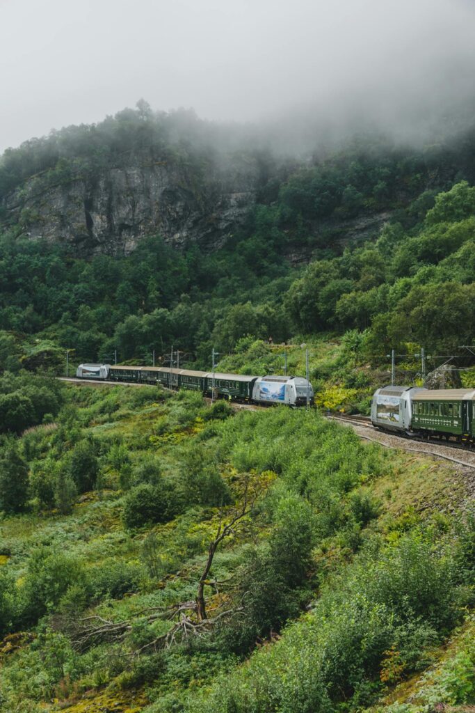 green Norwegian trains passing each other in Flam Vestland