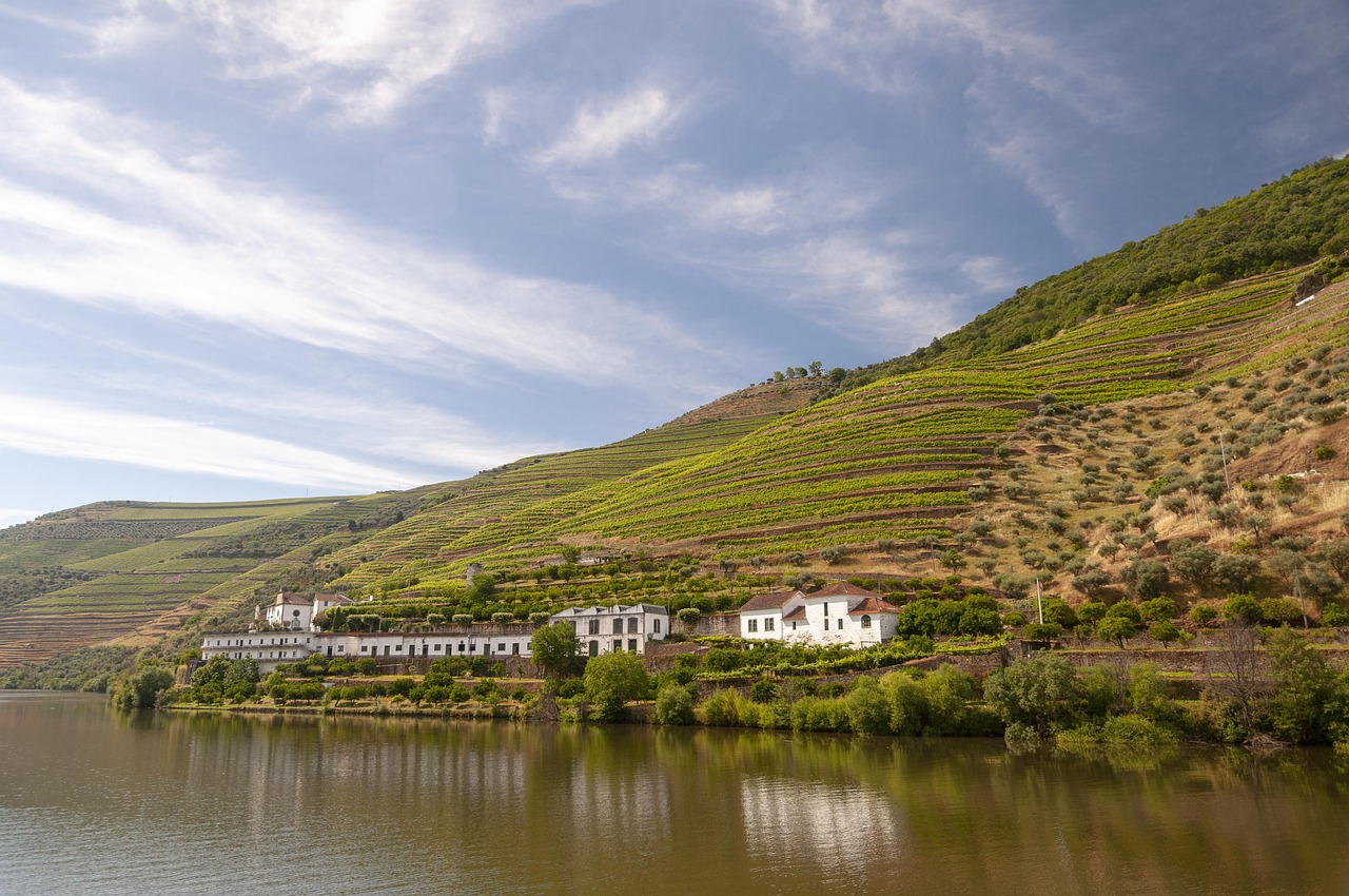 Douro River View Portugal