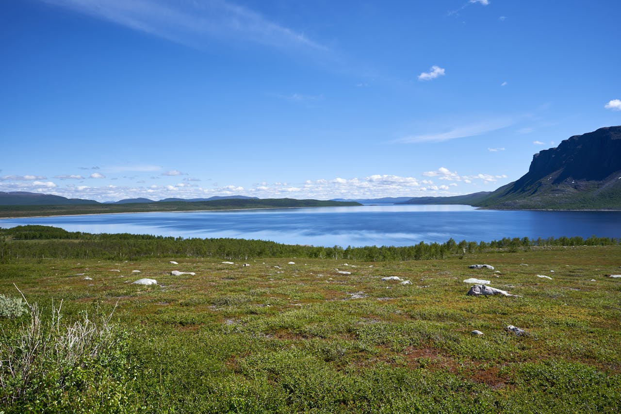 Landscape during a ride on the Iron Ore Line in Sweden with Rail Escape