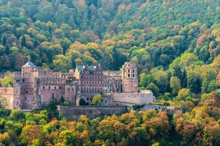 Heidelberg Castle with colorful autumn trees on a hillside